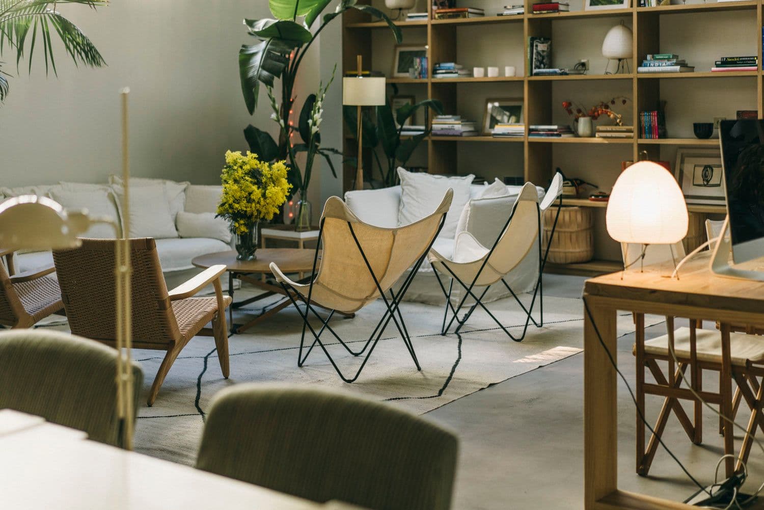 Conticert Margot 1143