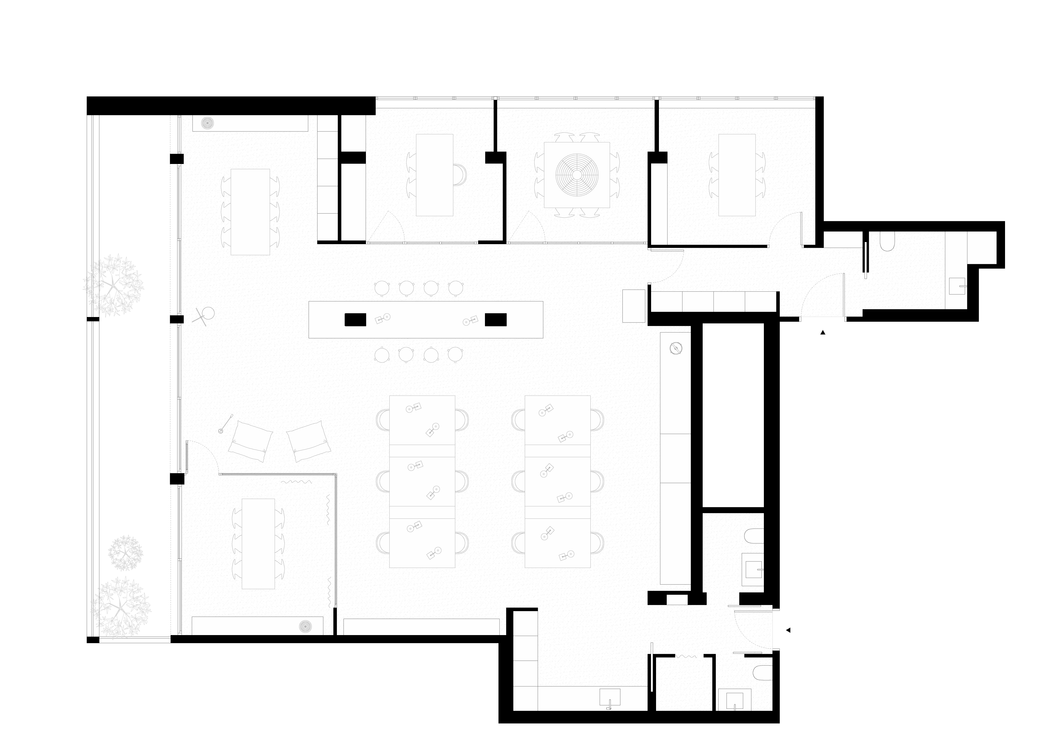 18 Molis Sin Fondo Web