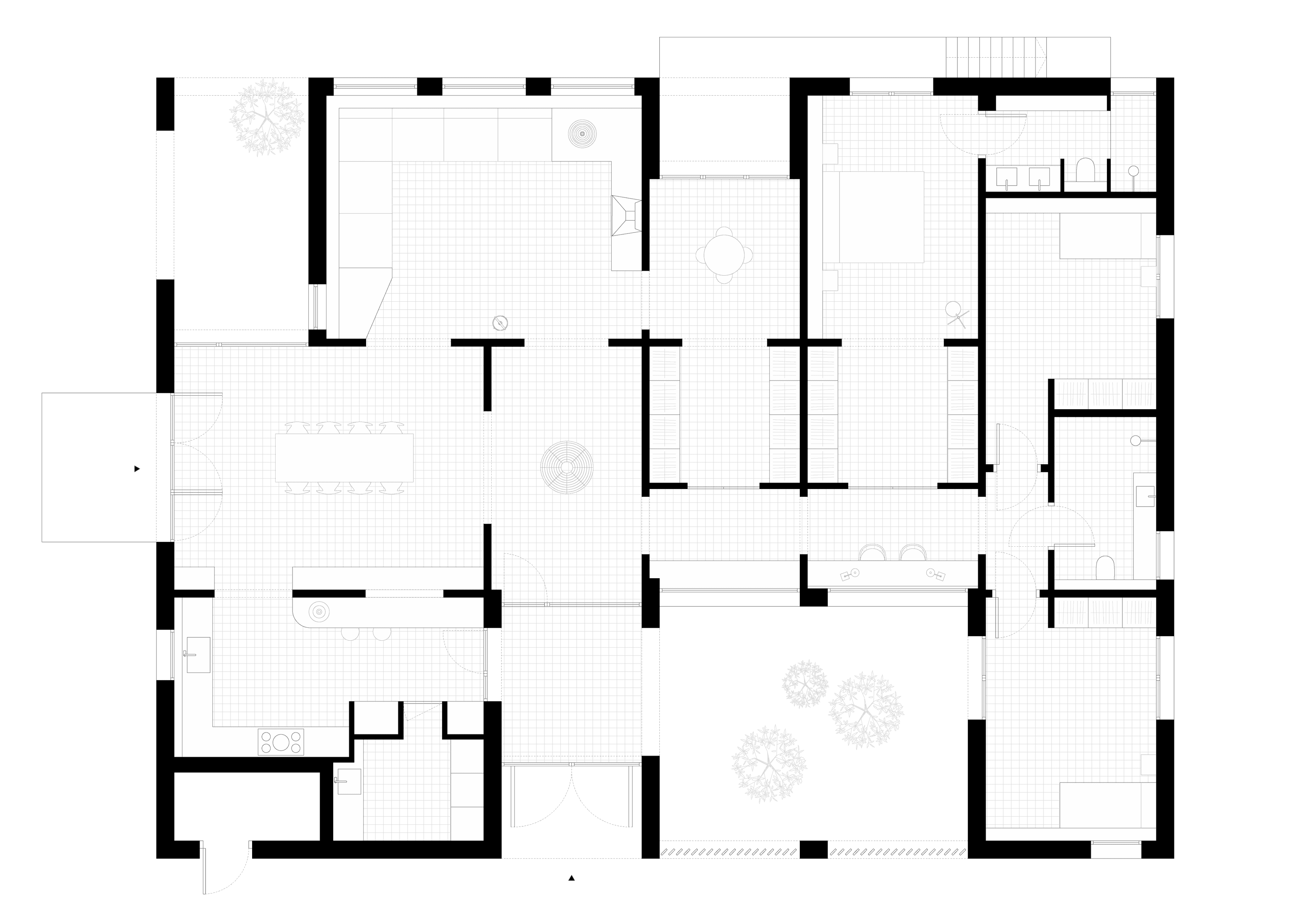 16 Seva Sin Fondo Web